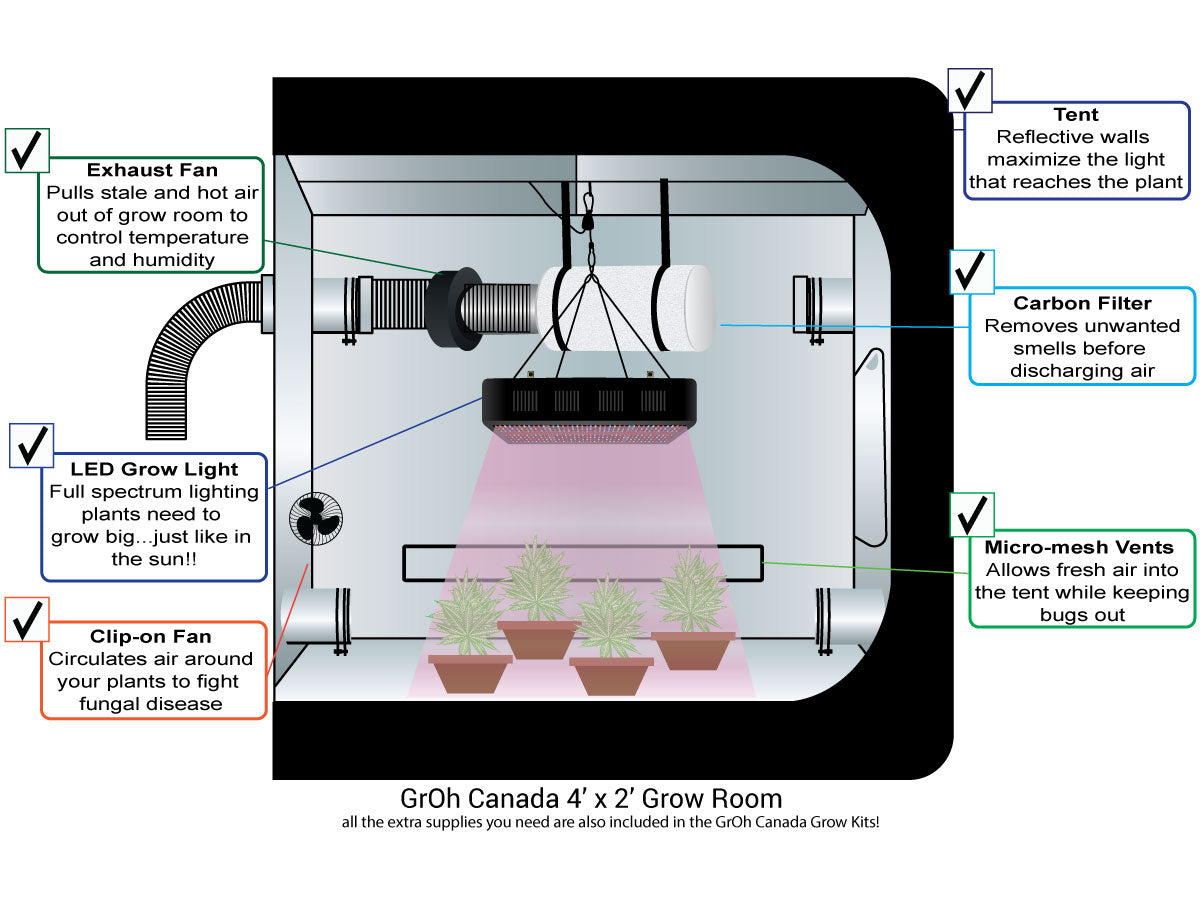 Ideal Grow Room Setup for Indoor Growing