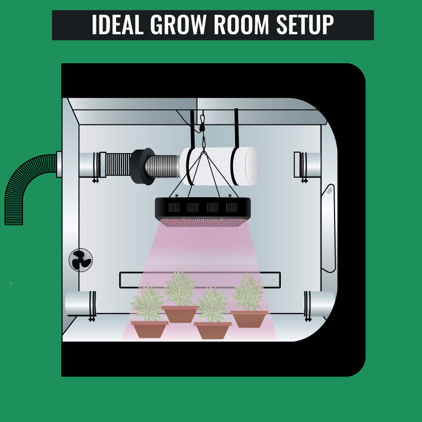Ideal Grow Room Setup