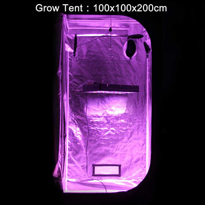 LED GROW LIGHT IN GROW TENT