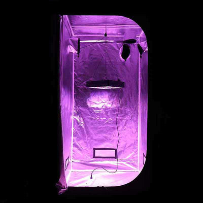 LED Grow light for growing indoors