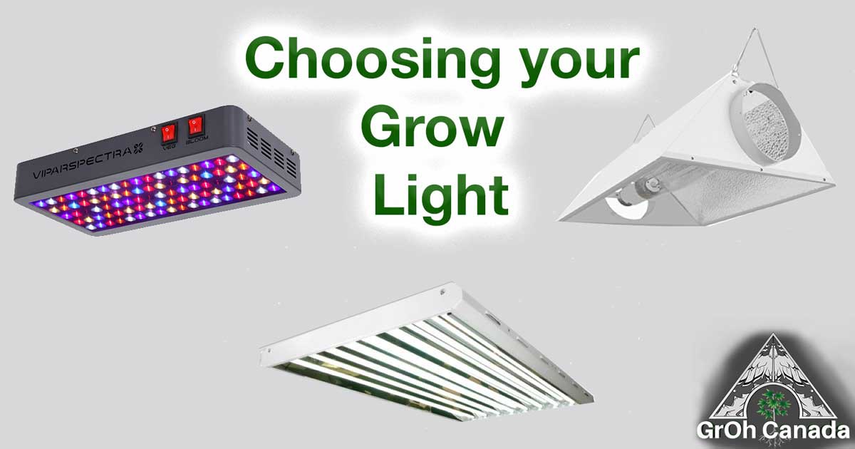 How to Choose an Ideal Full Spectrum LED Grow Light – ViparSpectra