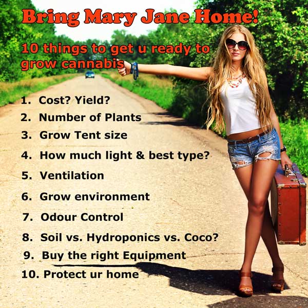 Get ready to grow indoors