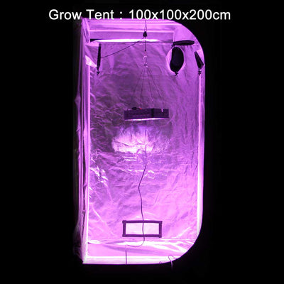 VIPARSPECTRA V300 Grow Light in Grow Tent