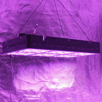 LED Grow Light in Grow Room