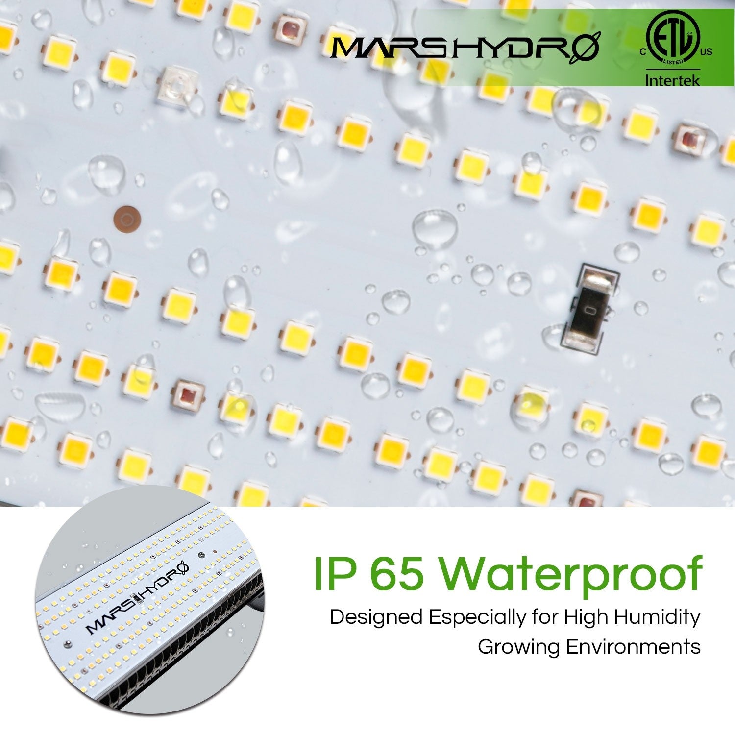 Mars Hydro 300W LED Grow Light (SP3000)